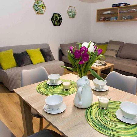 Apartament Grapa Żywiec Εξωτερικό φωτογραφία