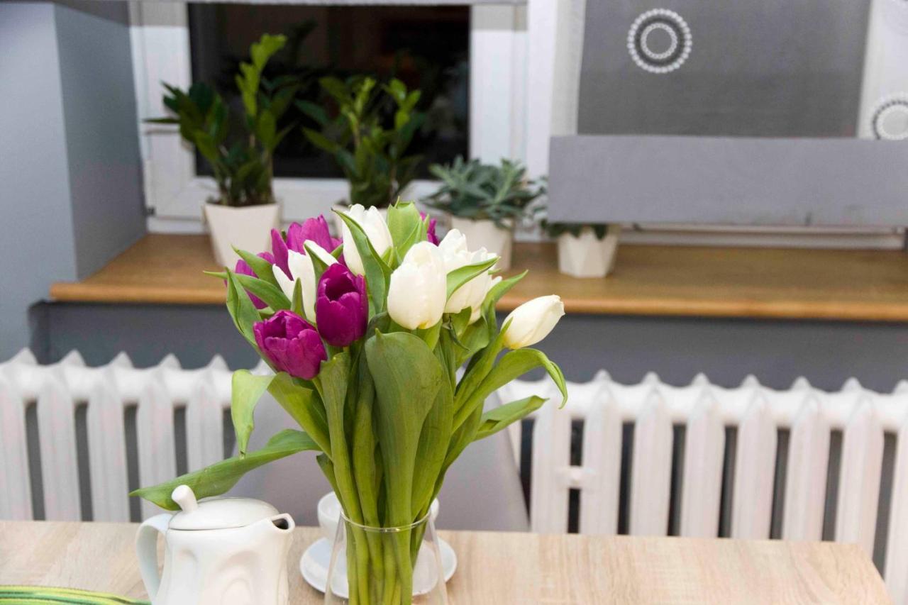 Apartament Grapa Żywiec Εξωτερικό φωτογραφία